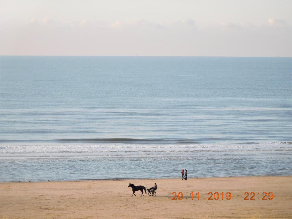 Strandhuis Egmond aan Zee Extérieur photo